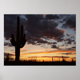 Affiches Saguaro Sunset III Arizona Desert Landscape