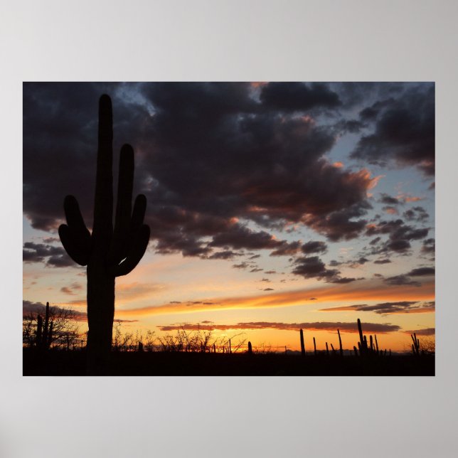 Affiches Saguaro Sunset III Arizona Desert Paysage (Devant)