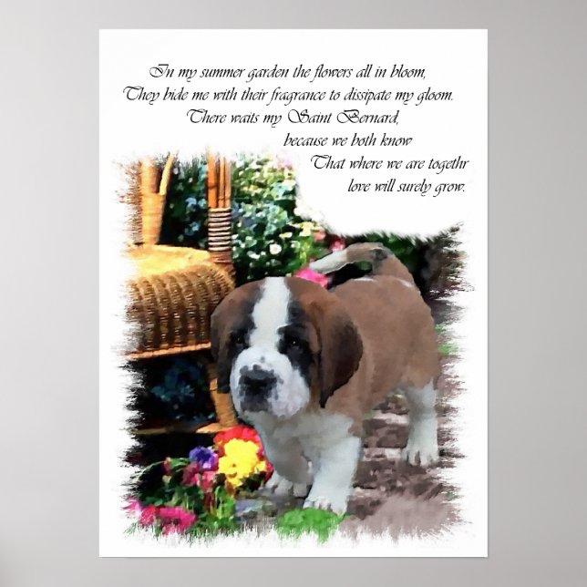 Affiches Saint Bernard Art Cadeaux (Devant)