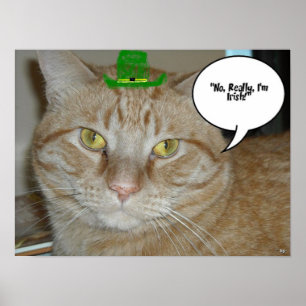 Affiches Saint Patrick's Day Orange Tabby Cat