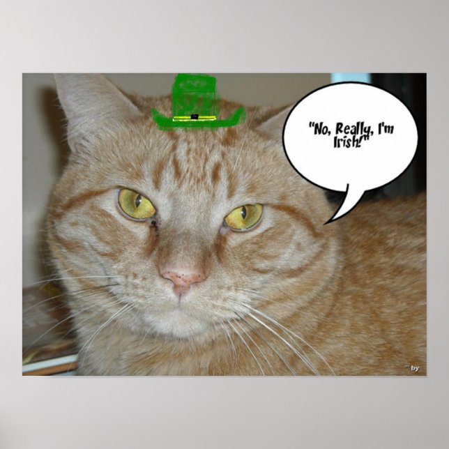 Affiches Saint Patrick's Day Orange Tabby Cat (Devant)