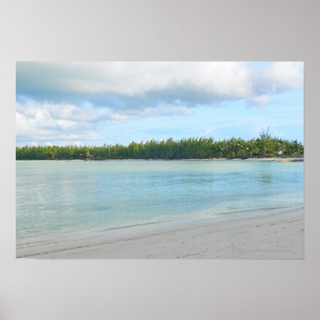 AFFICHES "SAISCAPE / CAY À TORTLE VERT /ÎLES ABACO" (Devant)