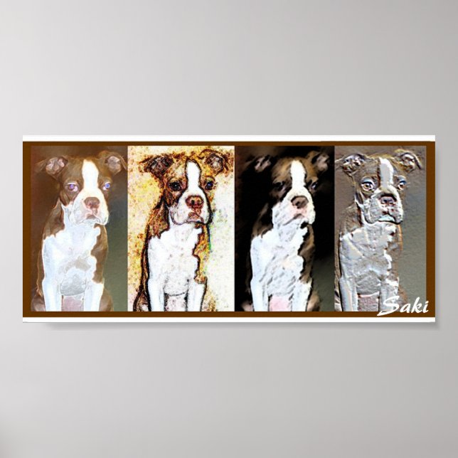 Affiches saki (Devant)