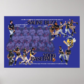 Affiches Saline Buzz Baseball 2006