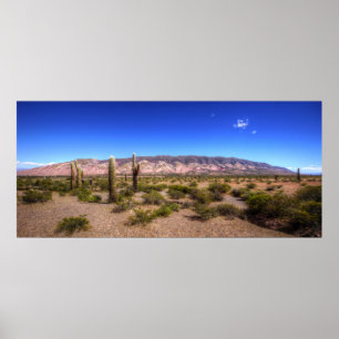Affiches Salta Argentina Cactus Plantes Et Barren Hill