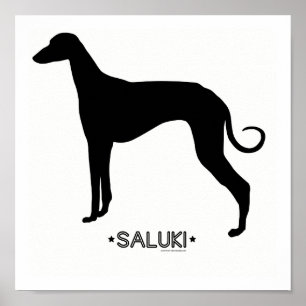 Affiches Saluki Print