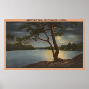 Affiches Salutations de Sumterville, Floride - Lune