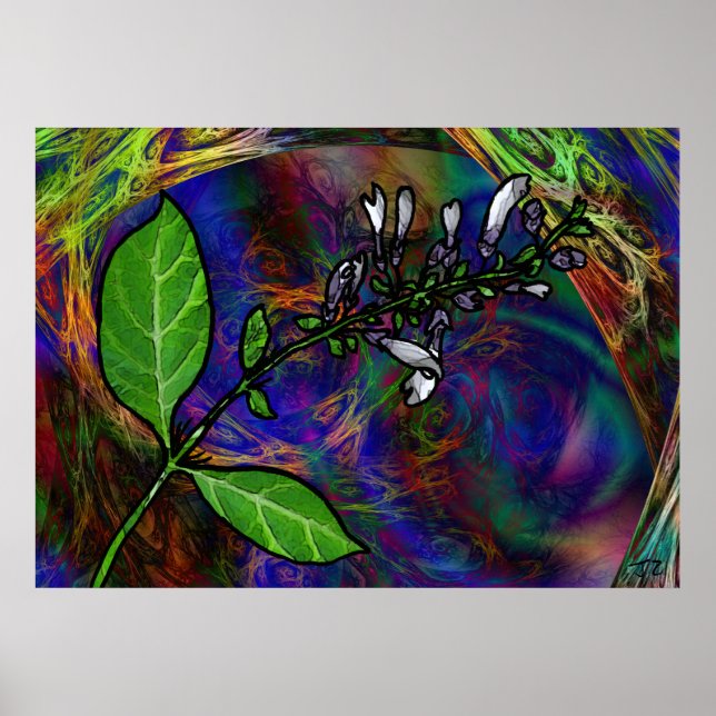 Affiches Salvia Divinorum (Devant)