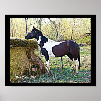 Affiches Samara douce