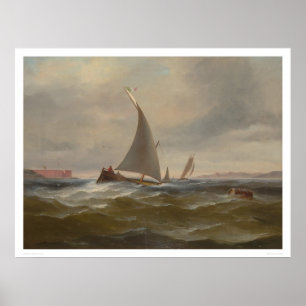 Affiches San Francisco Bay Felluca (1314)