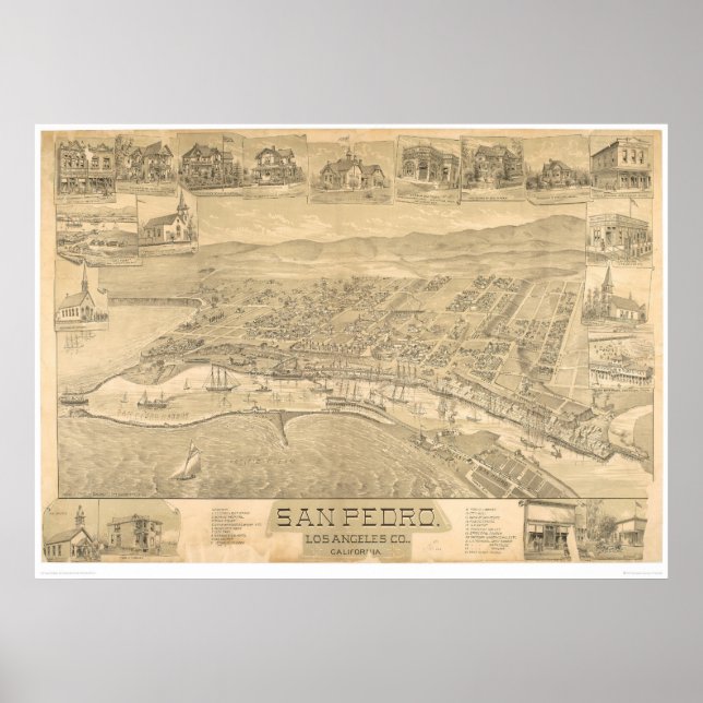 Affiches San Pedro, CA. Carte panoramique 1895 (1319A) (Devant)