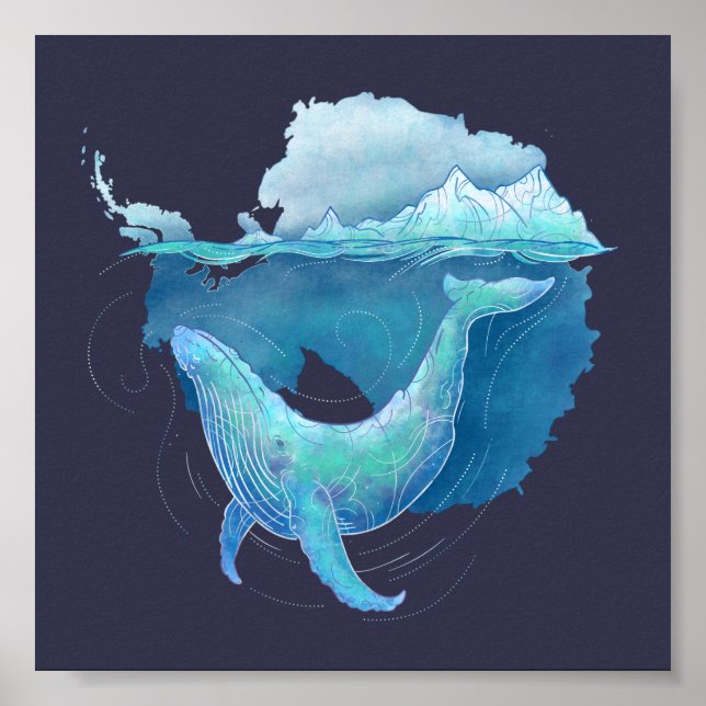 Affiches Sanctuaire des baleines de l'océan Austral (Devant)