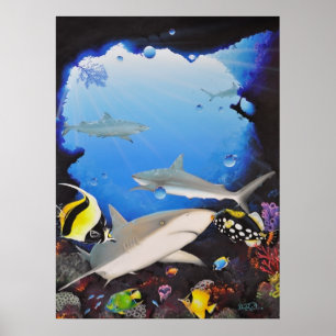 Affiches sanctuaryoftheshark