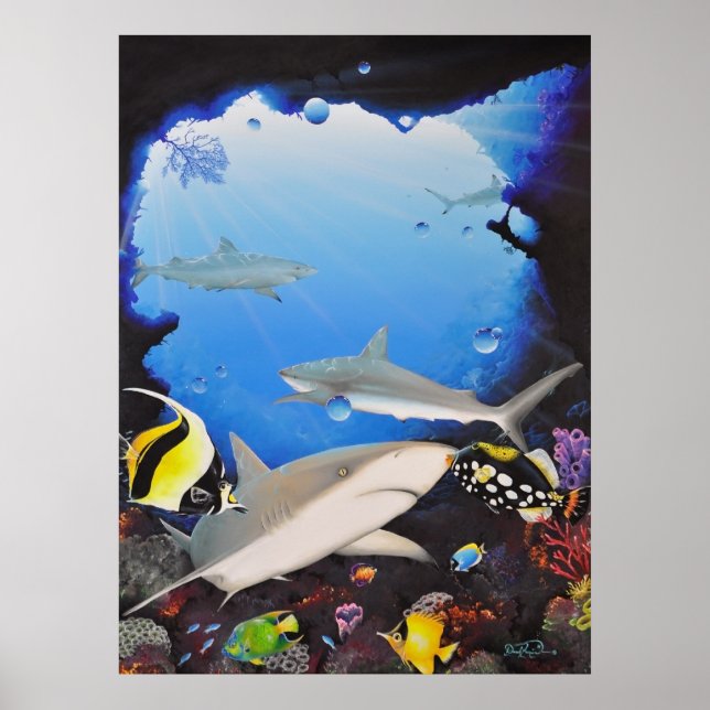 Affiches sanctuaryoftheshark (Devant)