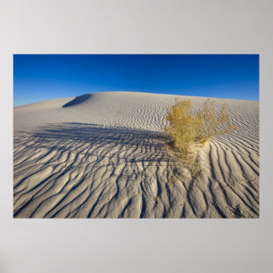 Affiches Sand dunes at White Sands National Monument in 3