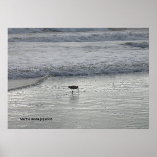 Affiches Sandpiper solitaire à Watsonville Beach