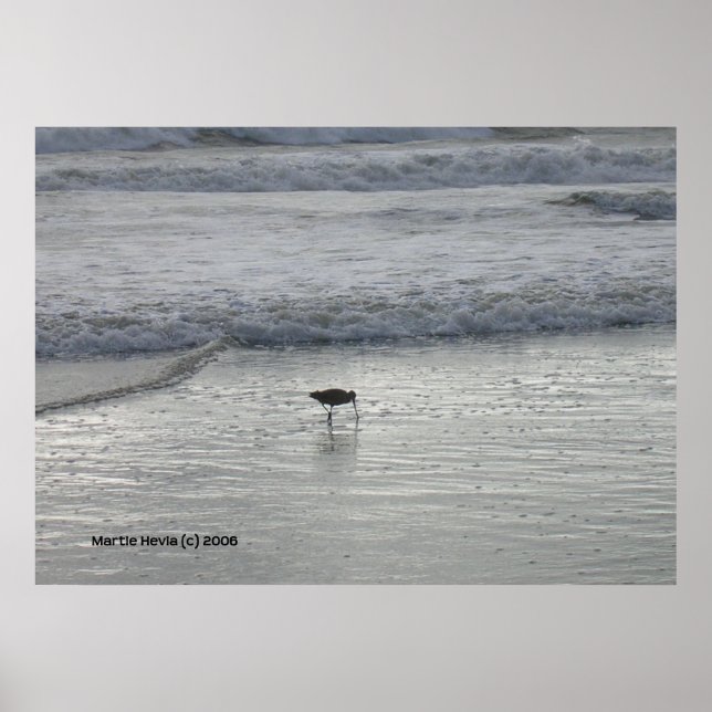 Affiches Sandpiper solitaire à Watsonville Beach (Devant)