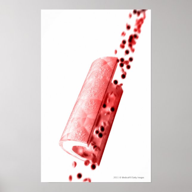 Affiches Sang circulant à travers une artère (Devant)