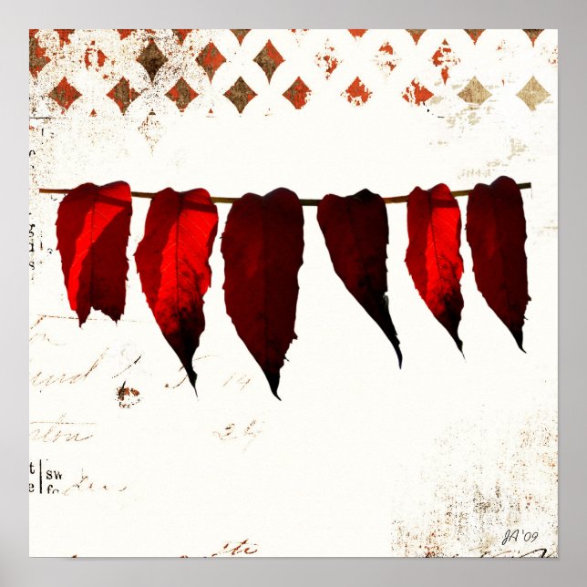 Affiches sans titre (Devant)