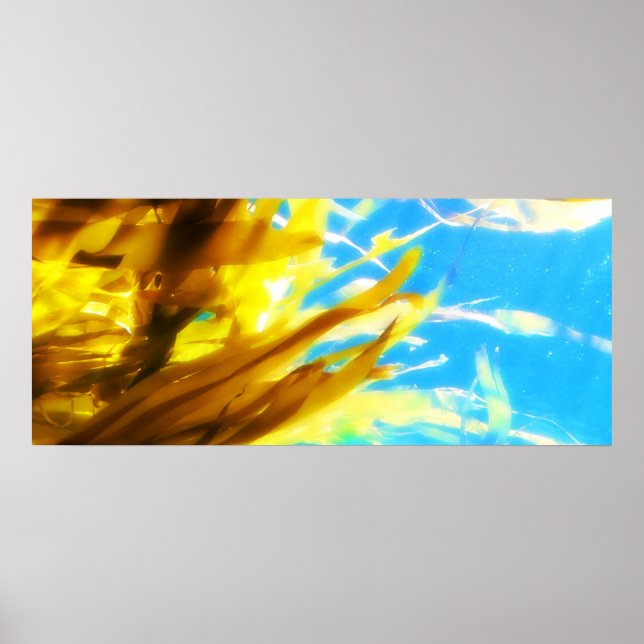 Affiches Sans titre (Devant)