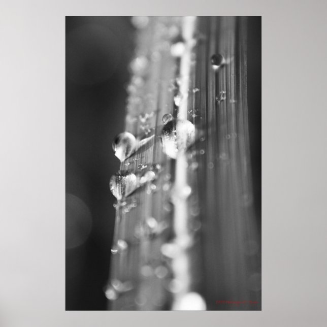 Affiches Sans titre (Devant)