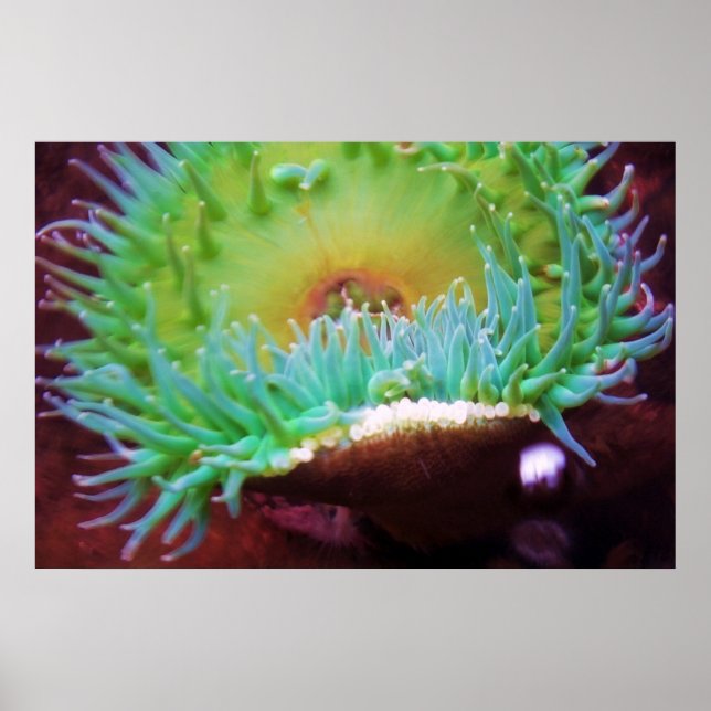 Affiches Sans titre (Devant)