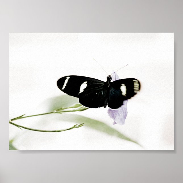 Affiches Sara Print (Devant)