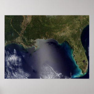 Affiches Satellite view of the Southeastern United State