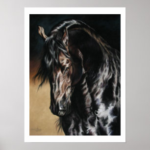 Affiches Satin noir - copie