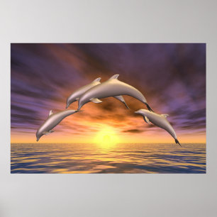 Affiches Saut de lever de soleil