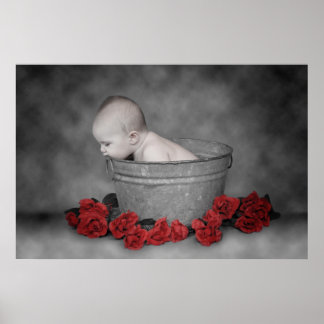 Affiches Saut et Roses