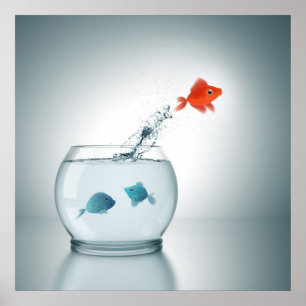 Affiches saute de poisson rouge