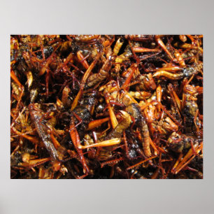 Affiches Sauterelle frite (Takkataen Thot) Cuisine asiatiqu
