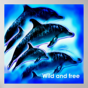 Affiches Sauvage et libre