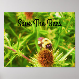 Affiches Sauvez l'affiche d'abeilles