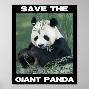 Affiches Sauvez le panda géant