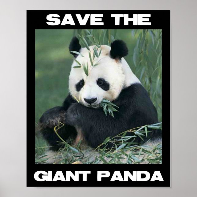 Affiches Sauvez le panda géant (Devant)