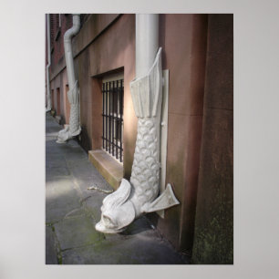 Affiches Savannah Gargoyle encadré