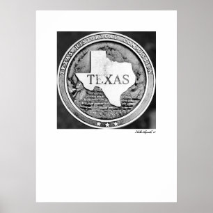 Affiches Sceau de la Société historique du Texas en bronze