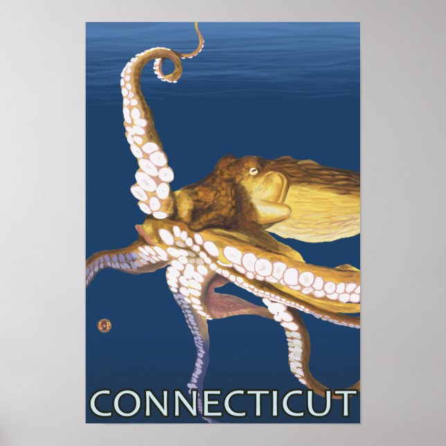 Affiches Scène ConnecticutOctopus (Devant)
