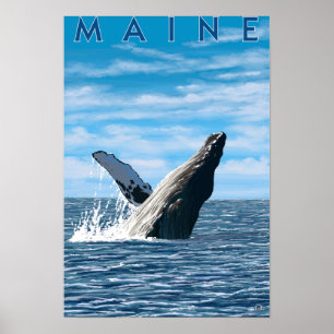 Affiches Scène de baleines à bosse du Maine