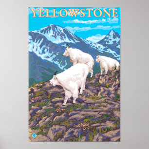 Affiches Scène de chèvres de montagne - parc national de
