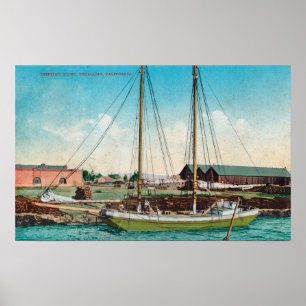 Affiches Scène de goélette d'expédition Petaluma, CA