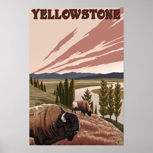 Affiches Scène de YellowstoneBison (Devant)