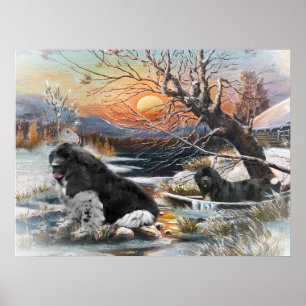 Affiches Scène d'hiver de deux Newfies