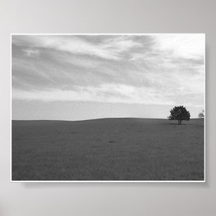 Affiches Scène solitaire Noir et Blanc