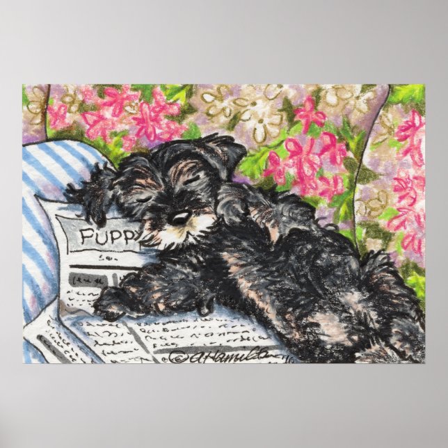 Affiches Schnauzer Dreams Imprimer (Devant)