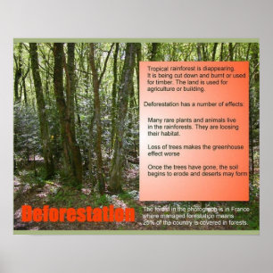 Affiches Science Vie Science Déforestation