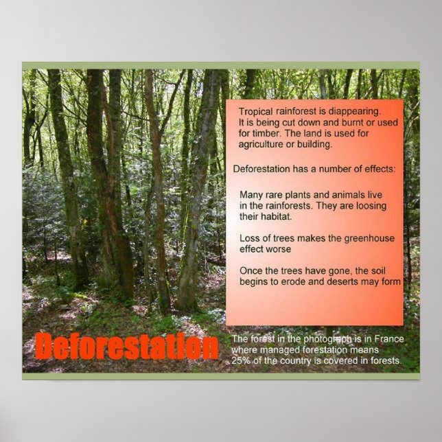 Affiches Science Vie Science Déforestation (Devant)