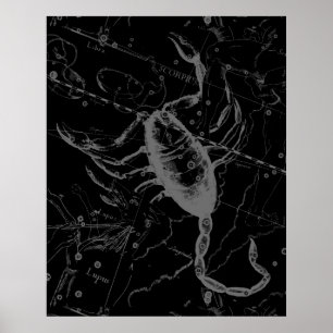 Affiches Scorpio Constellation Hevelius 1690 sur Black